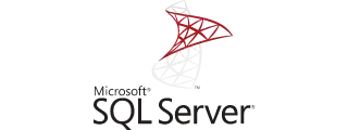 Microsoft SQL Server Database